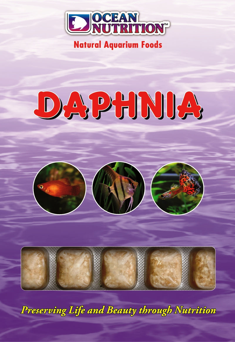 Daphnia 100g