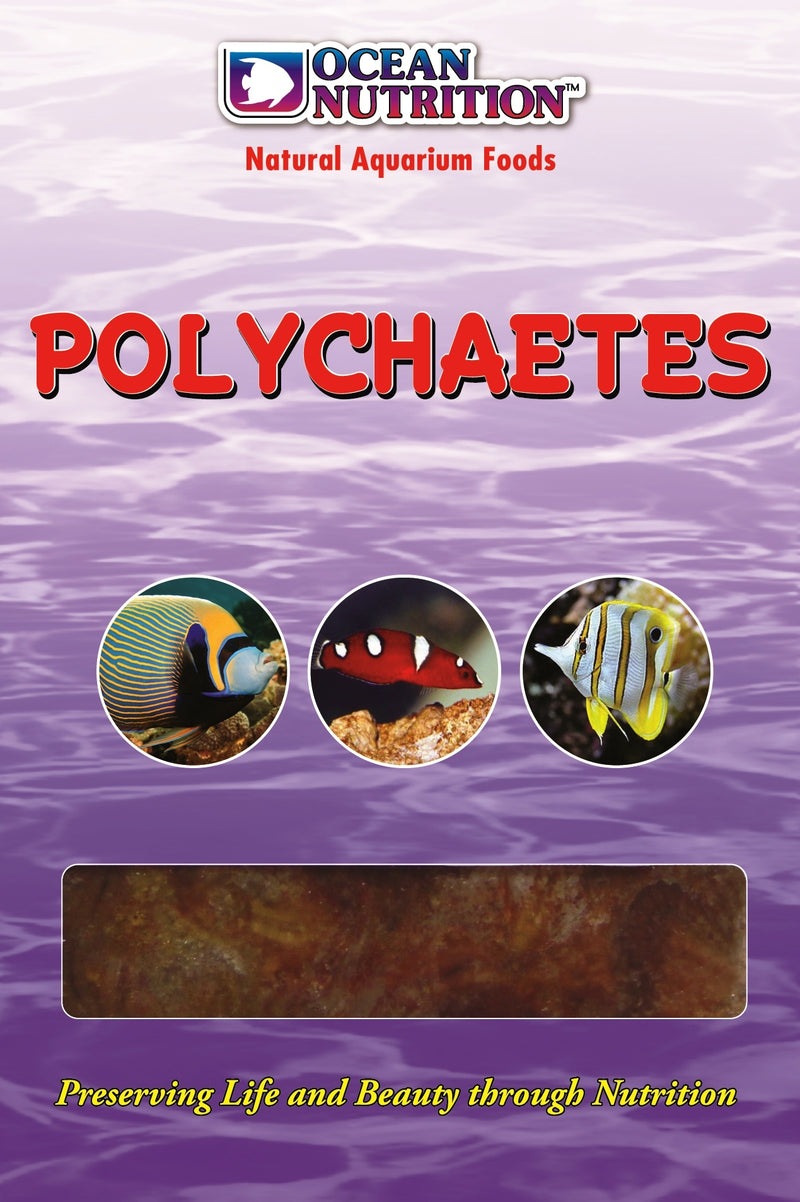 Polychaetes Mono Tray 100g