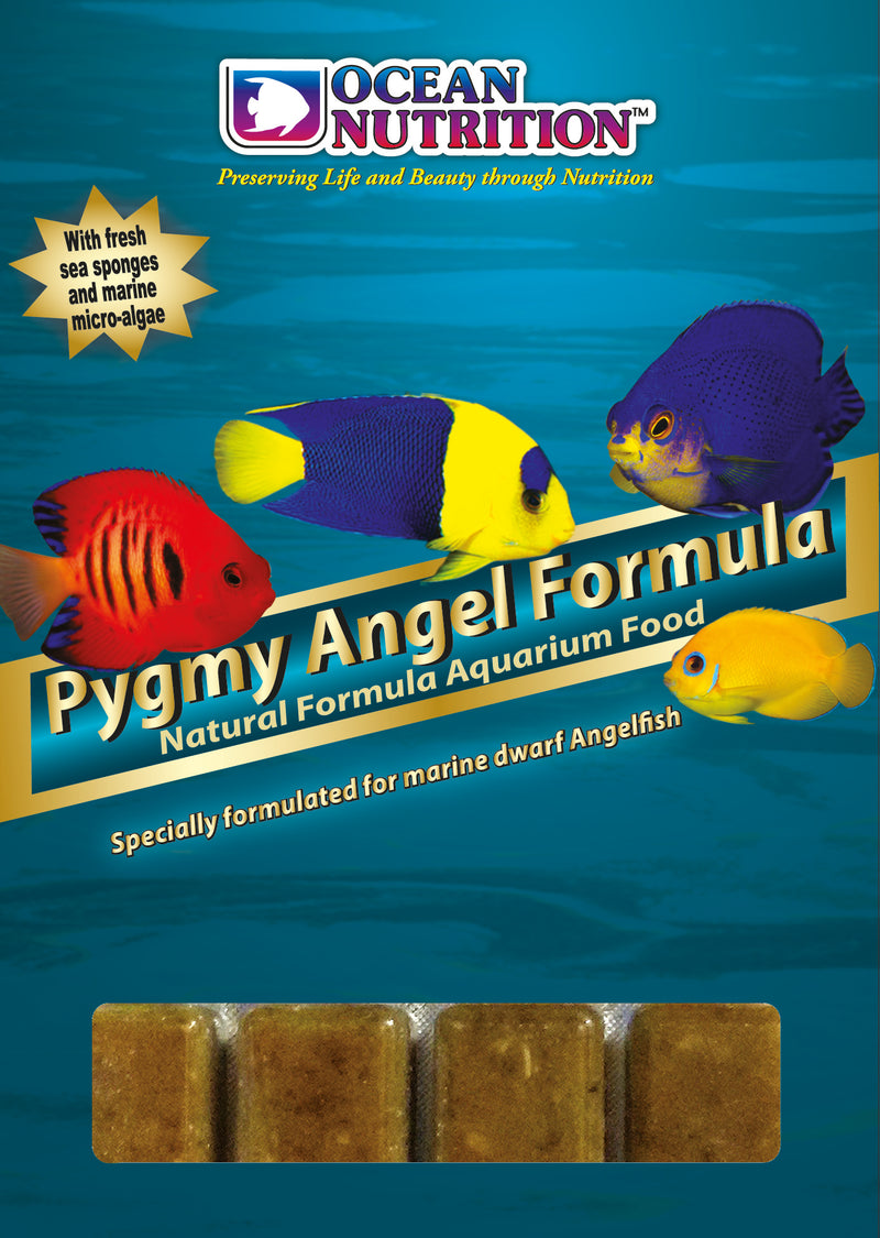 Frozen Pygmy Angel Formula 100g