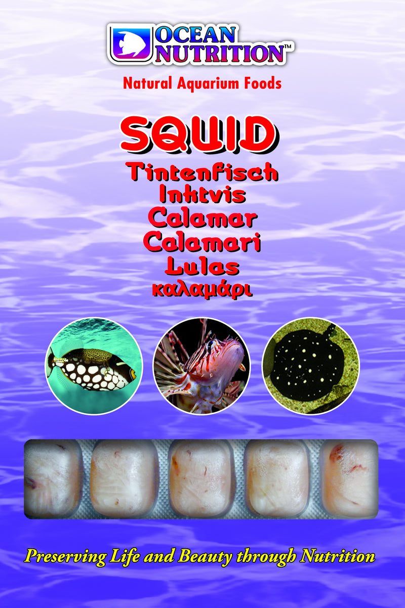 Squid 100g
