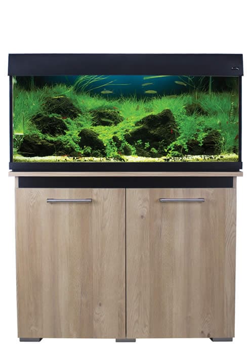 Aqua AquaOne Vogue Cabinet 170 100cm Nash Oak With Black NEW STYLE