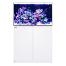 REEFER 300 G3