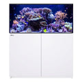 REEFER 425 G3