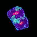 RF Mass Destruction Favia