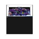 Waterbox Platinum PRO 180.5 + Cabinet- - Black