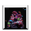 Waterbox CUBE 10 + With Pump