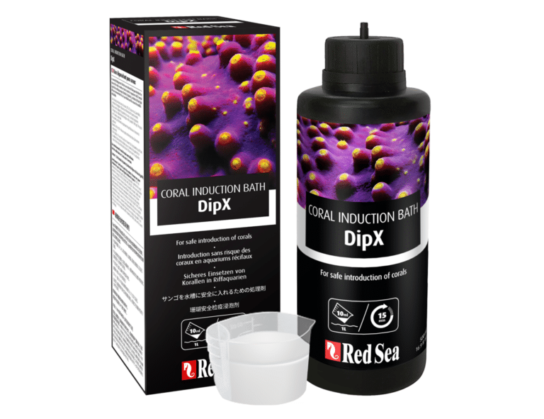 Red Sea Coral Induction Bath DipX