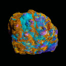 RF Crown Jewels Chalice