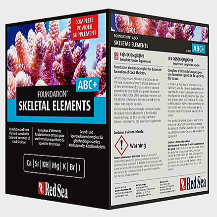 Red Sea Skeletal Elements ABC+