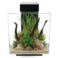 Fluval Edge 2.0 46L Aquarium Set - Gloss Black