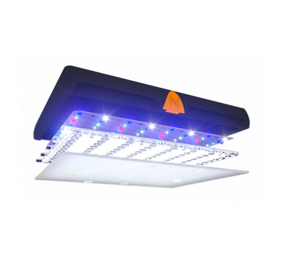 Neptune SKY LED Light with Power Supply & UK Plug