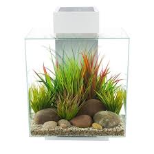 Fluval Edge 2.0 46L Aquarium Set - Gloss White